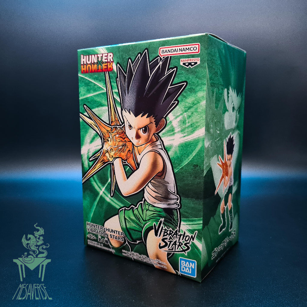 Hunter x Hunter Vibration Stars-Gon