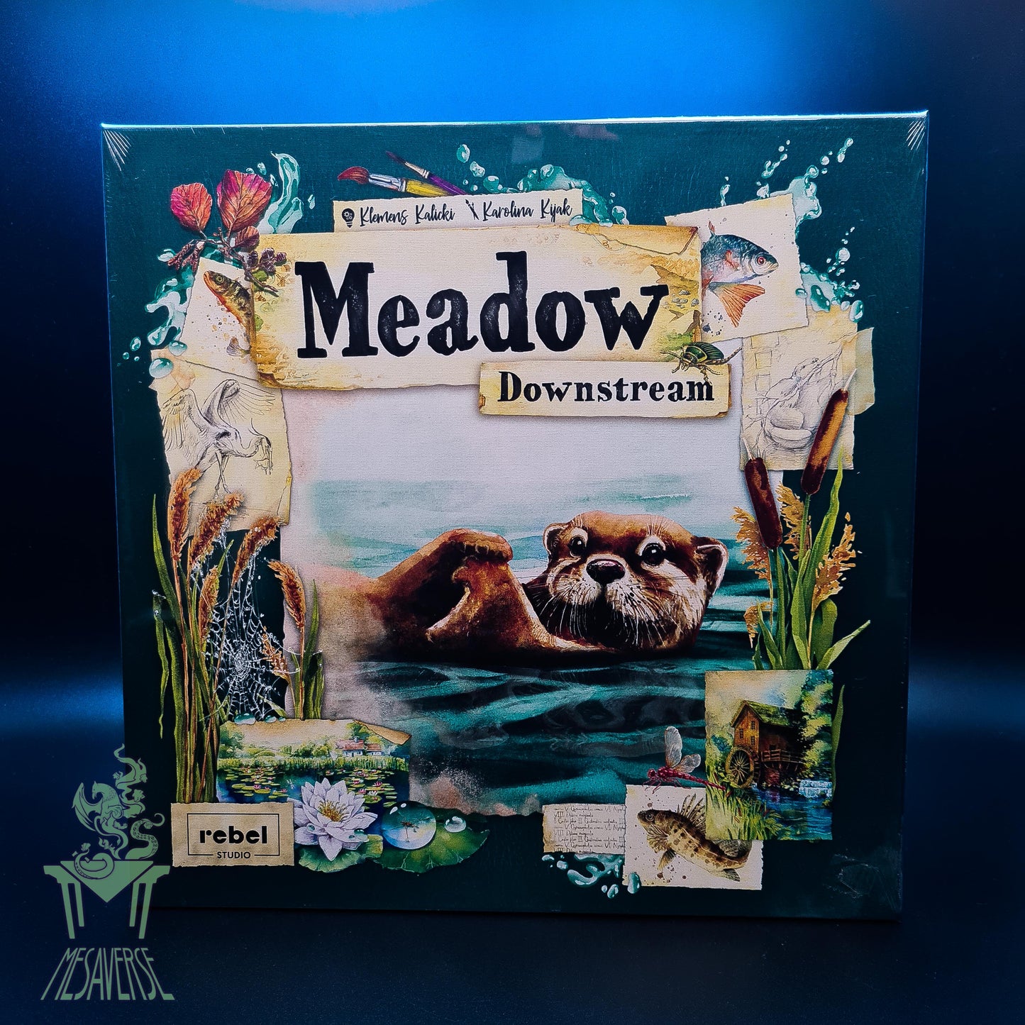 Meadow downstream