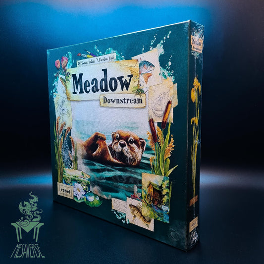 Meadow downstream