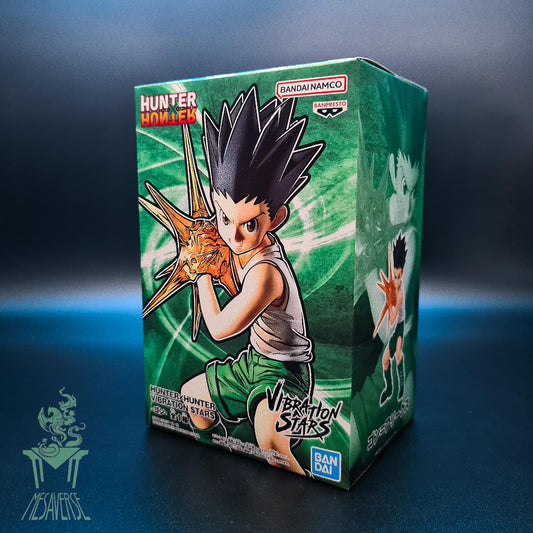 Hunter x Hunter Vibration Stars-Gon